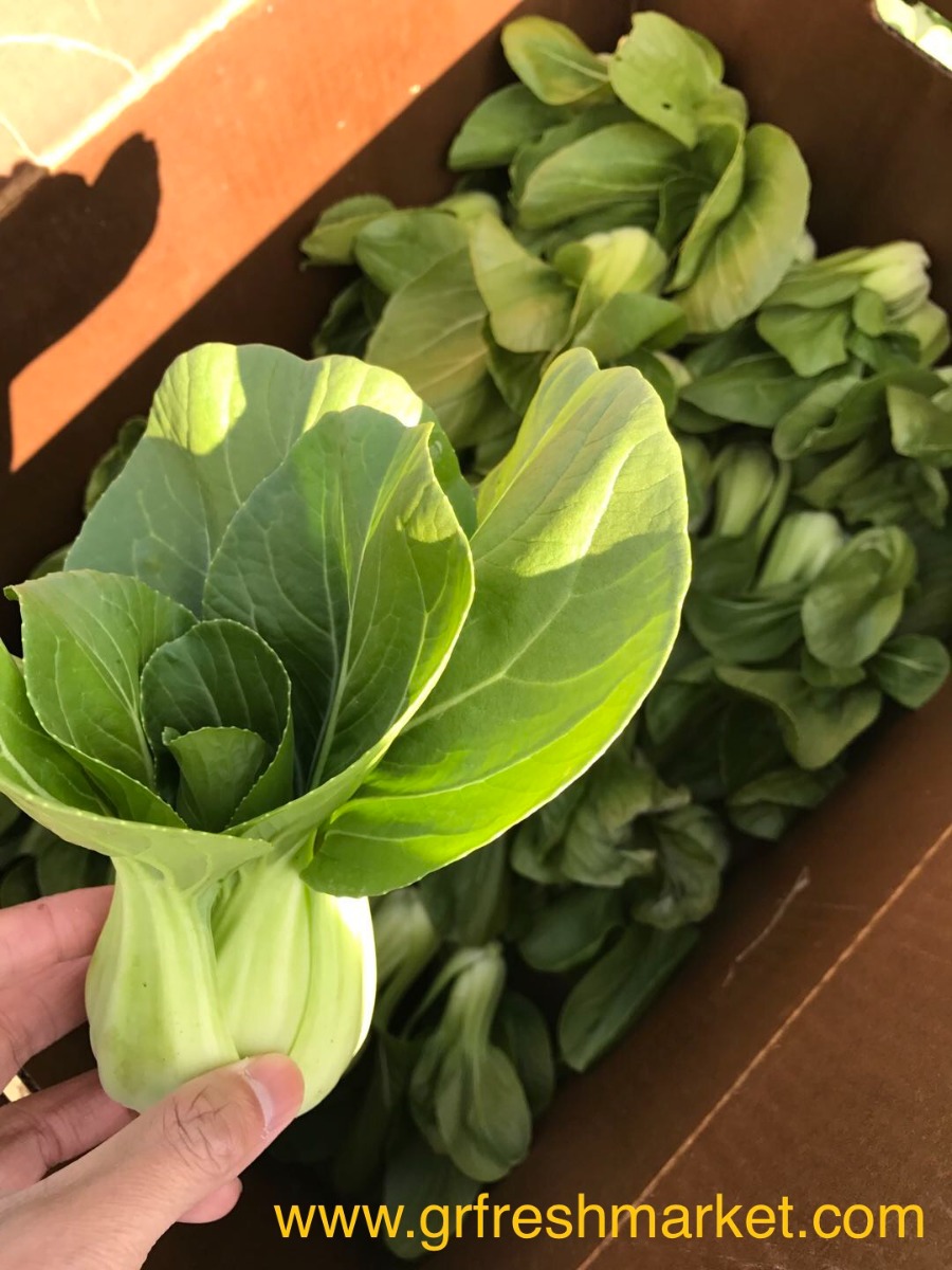 Shanghai Bok Choy 2Ibs