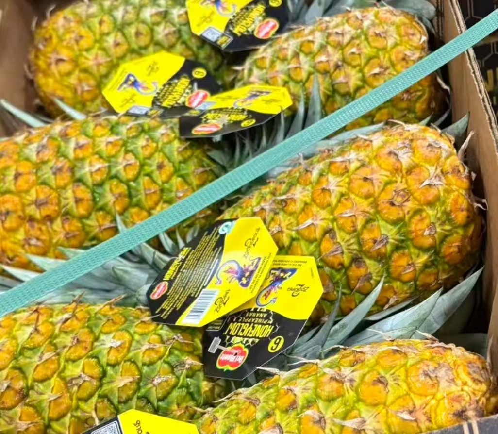 Pineapple 1each