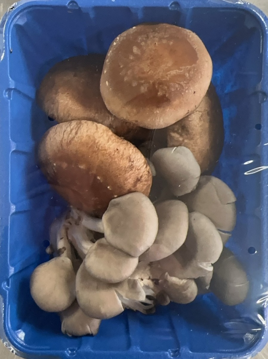 Mixed Orgainc shiitake Oyster mushroom