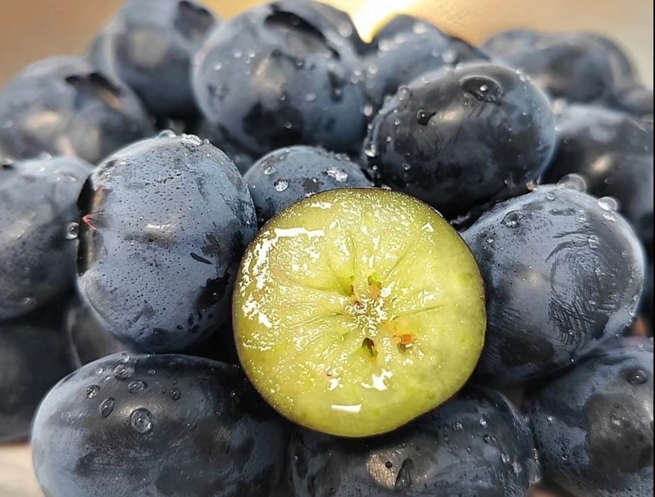 Blueberry 11oz