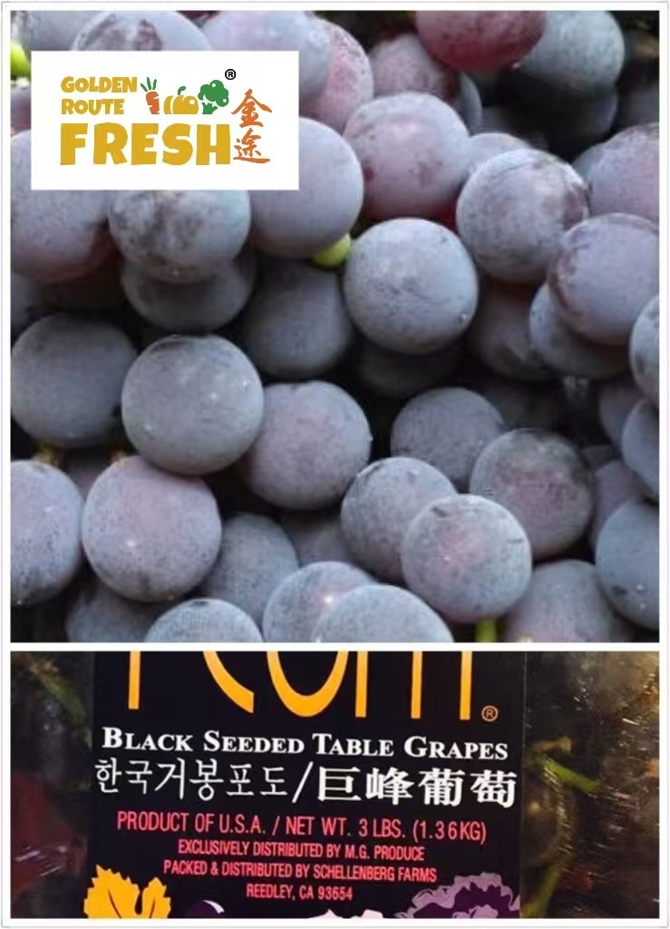 Peony JuFeng Grape 3Ibs
