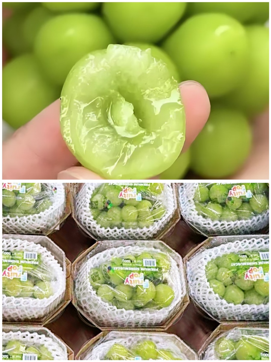 Shine Muscat Grapes 1.23Ibs