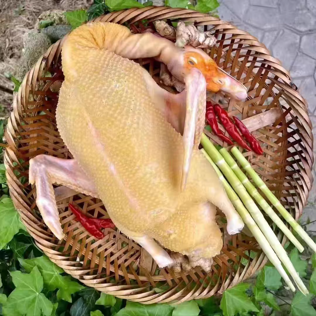Mars organic farm Free-range Muscovy duck 4-5Ibs