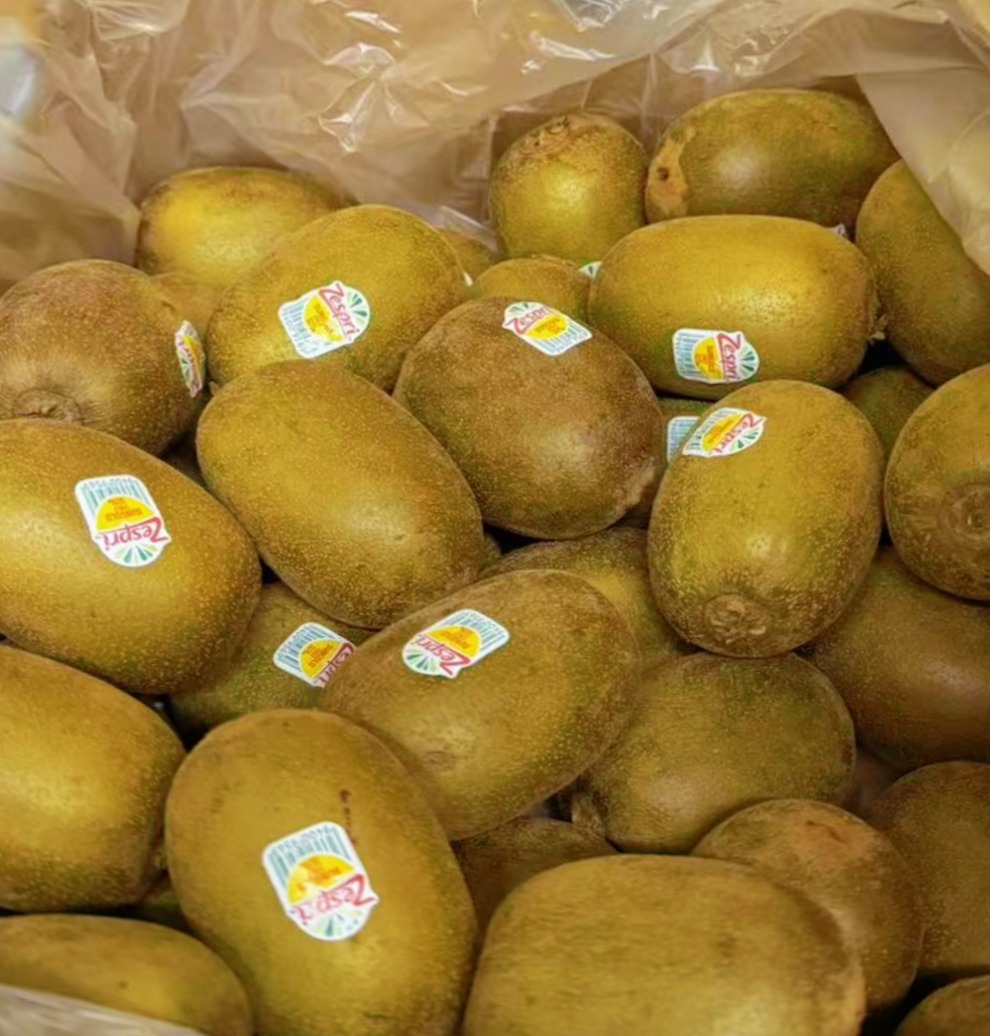 Golden Kiwi 6pcs