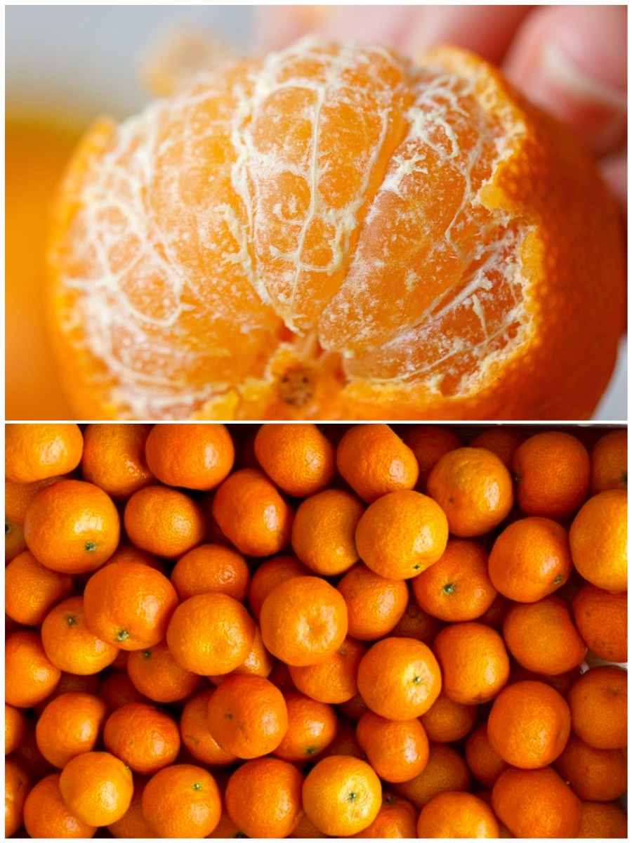 Fresh  Honey mandarin 3Ibs