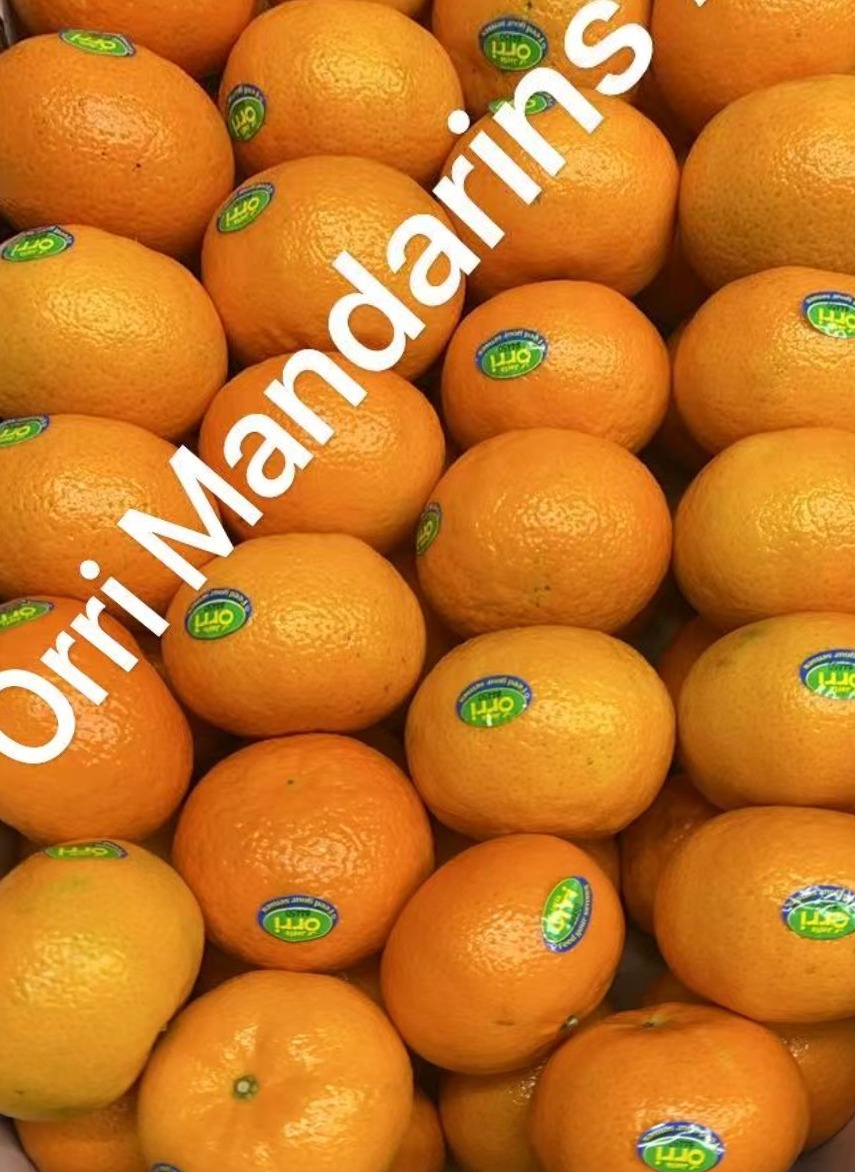 Fresh Orri 3Ibs 