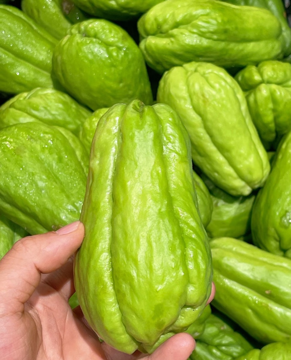 Fresh  Chayote 