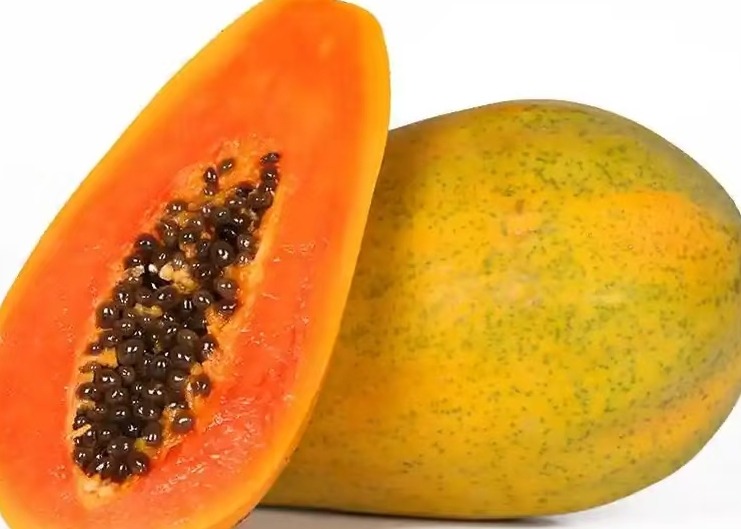 Fresh Haii Papaya 1pcs/1.1Ibs