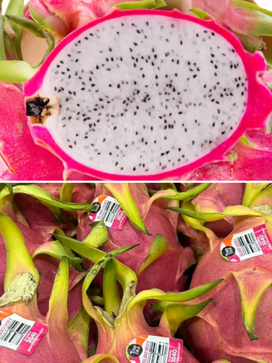White-fleshed dragon fruit 3pcs