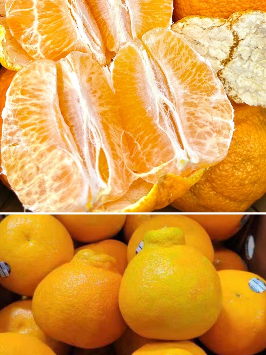 Fresh  Honey orange 3Ibs
