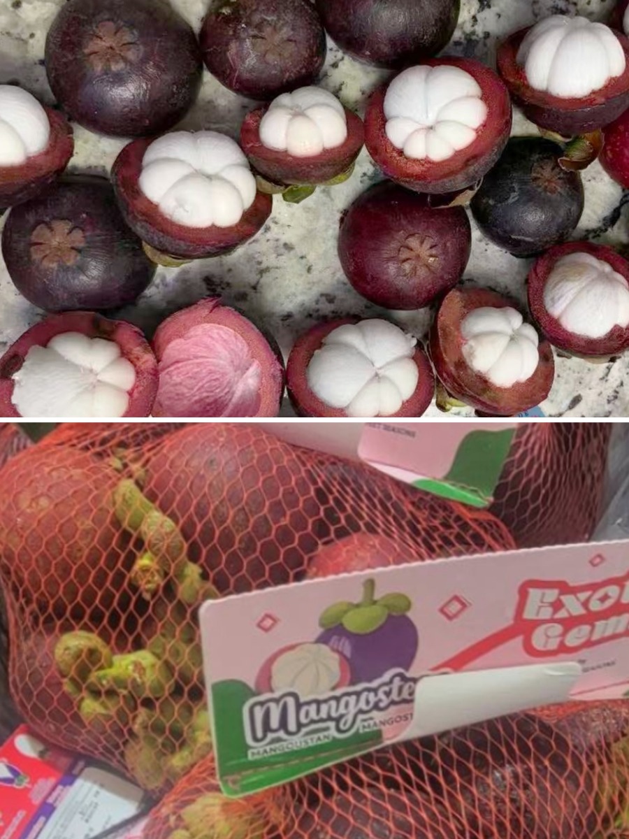 Fresh Mangosteen 3Ibs