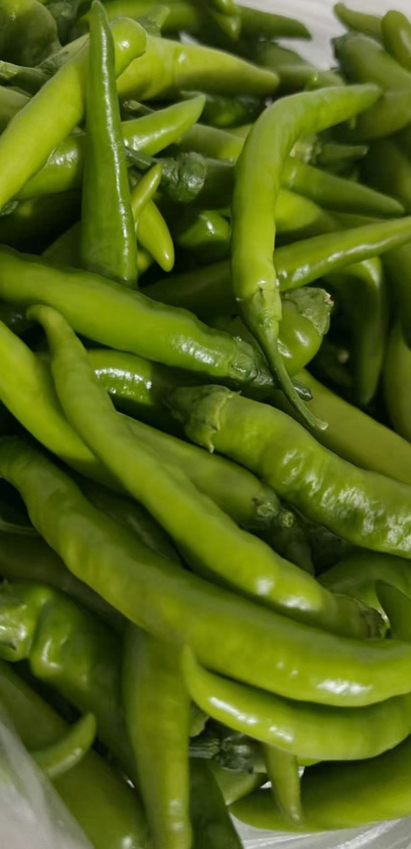 Pepper 1Ibs