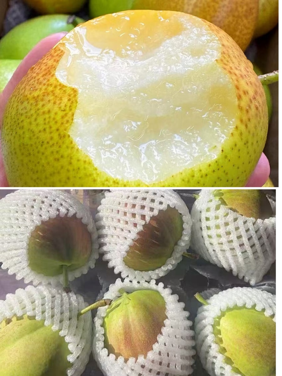 Jade crisp pear 6pcs