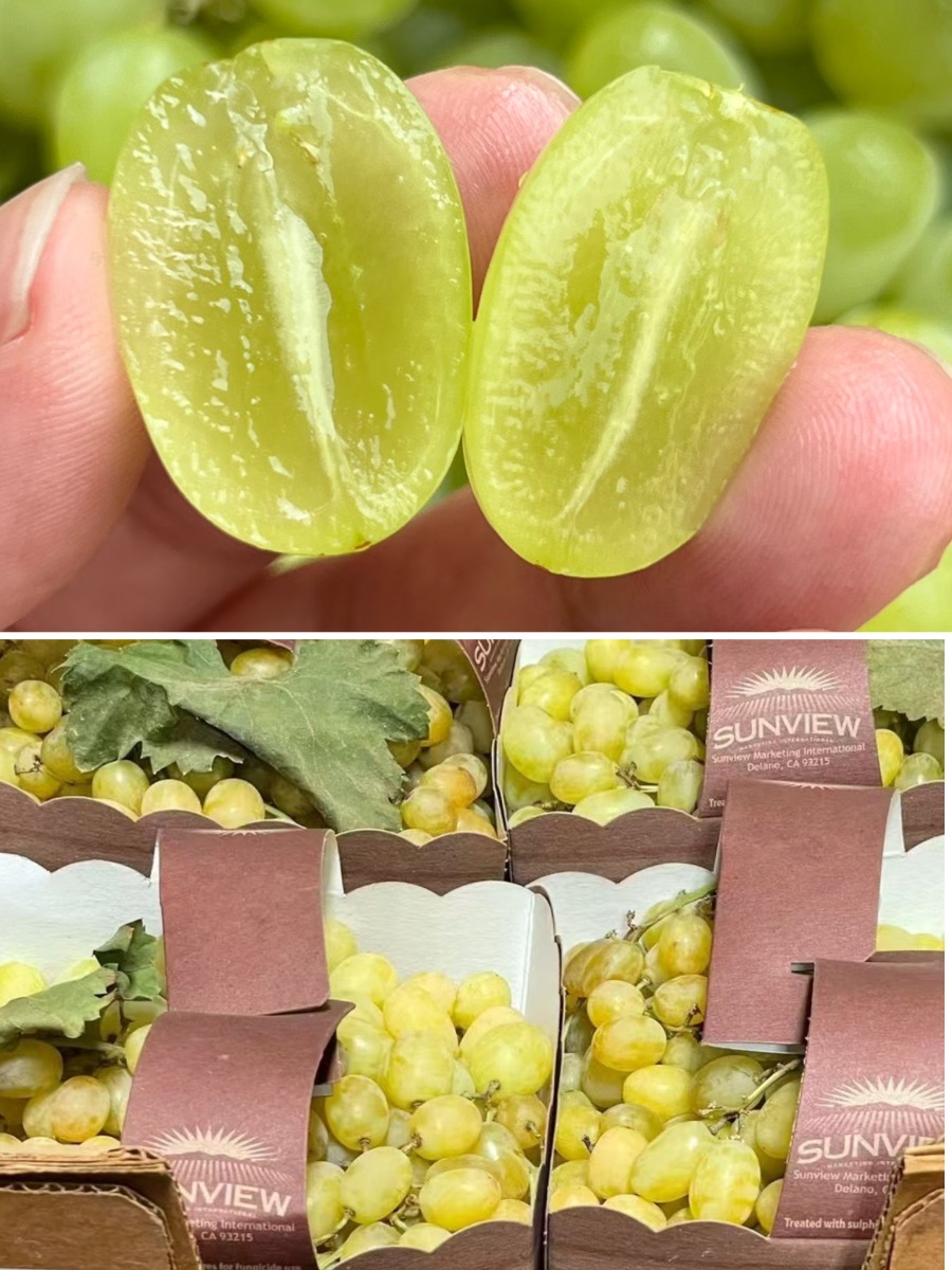 Sunview Green Seedless Grapes 1Ib