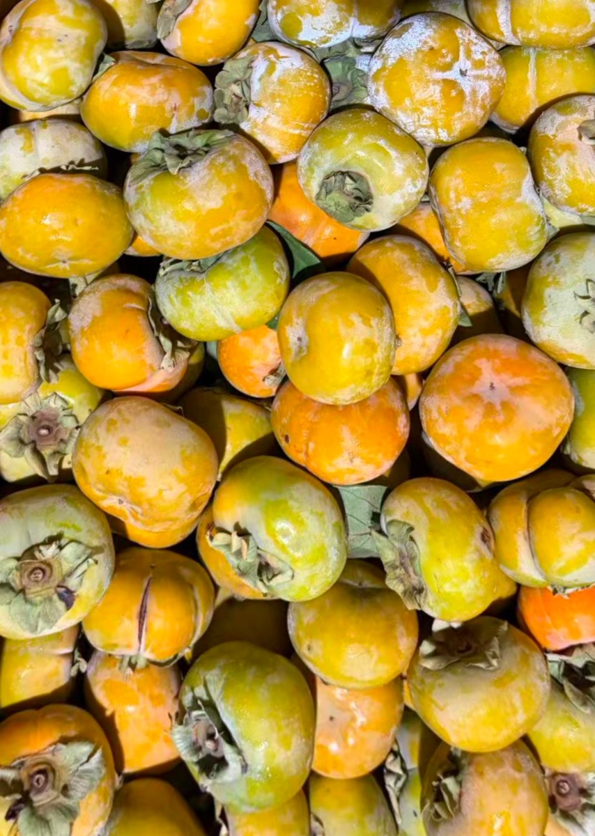 Persimmon 2Ibs