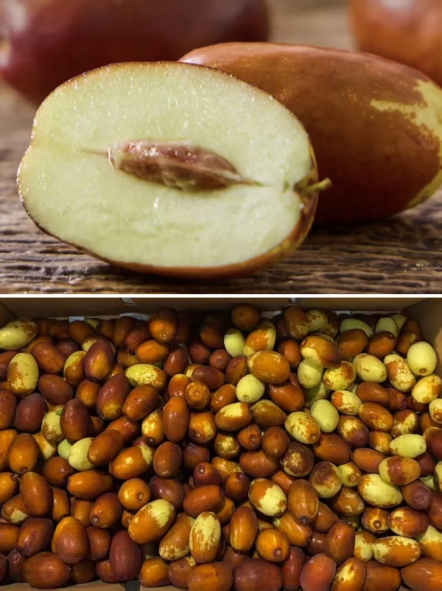 Jixin Jujube 2Ibs