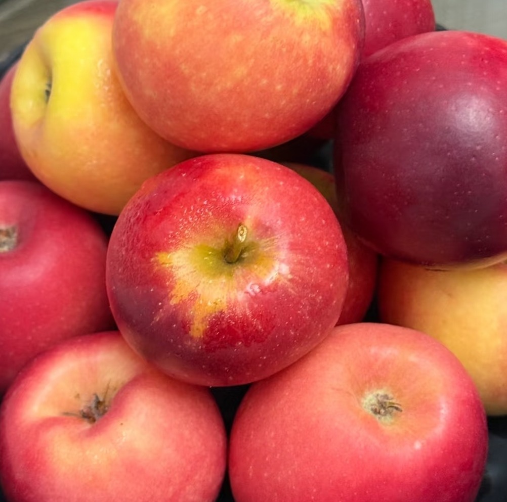 Gala apples 3Ibs