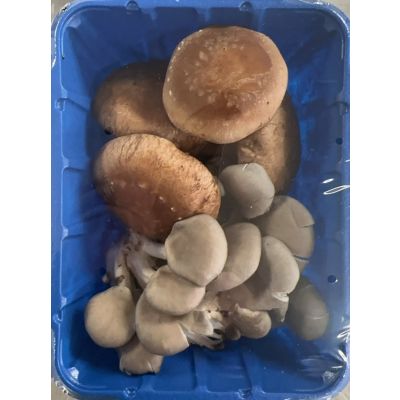 Mixed Orgainc shiitake Oyster mushroom