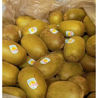 Golden Kiwi 6pcs