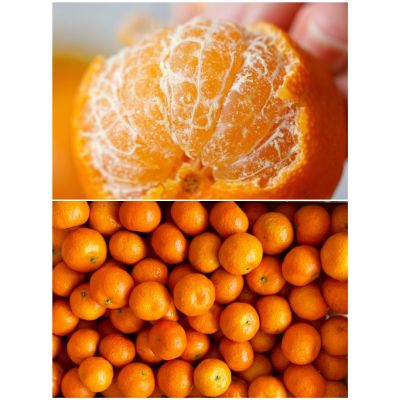 Fresh  Honey mandarin 3Ibs
