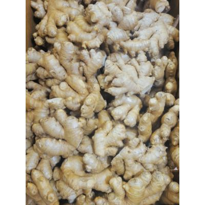 Organic Ginger