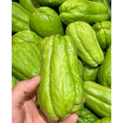 Fresh  Chayote 