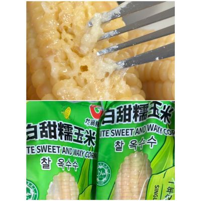 White Sweet and  Waxy Corn 5pcs