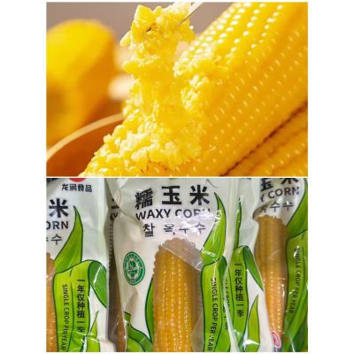 Waxy Corn 5pcs