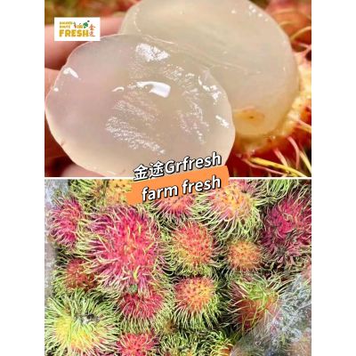 Fesh rambutan 3Ibs