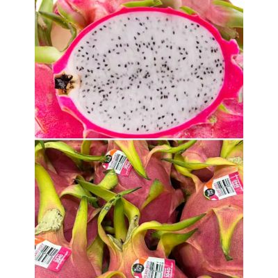 White-fleshed dragon fruit 3pcs