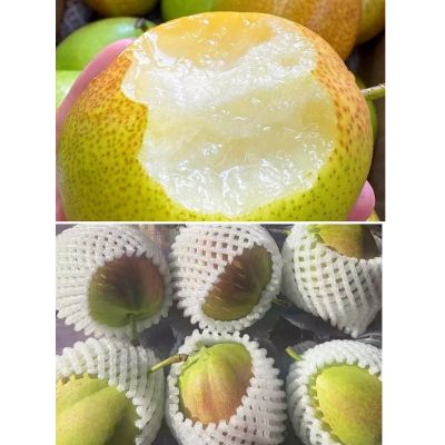 Jade crisp pear 6pcs
