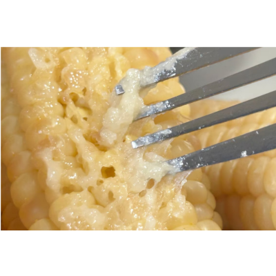 White Sweet and  Waxy Corn 5pcs