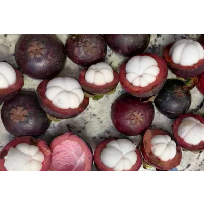Fresh Mangosteen 3Ibs