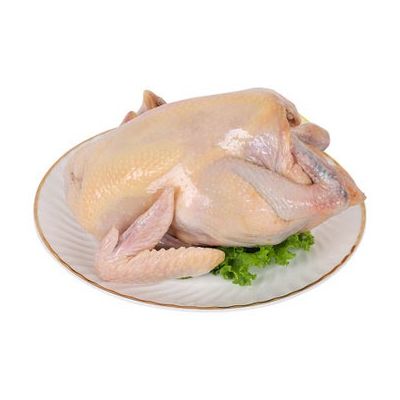 Morning fresh chicken