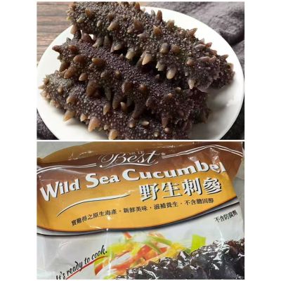Wild caught Sea Cumcumber