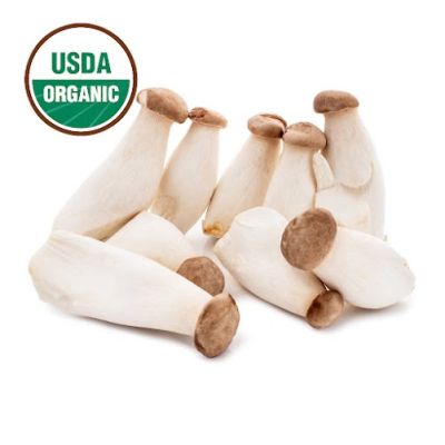 Organic King Oyster Mushroom