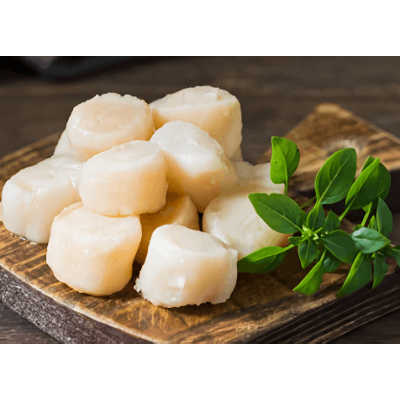 Wild caught small Scallop