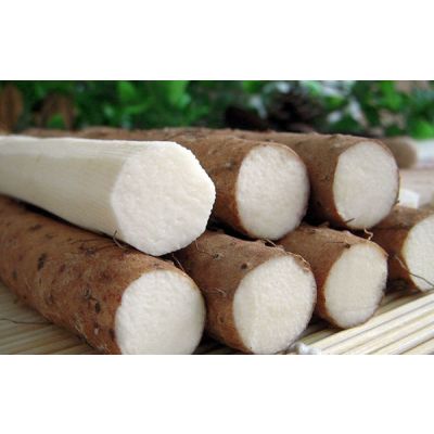 Iron nagaimo yam