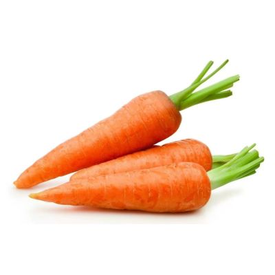 Carrot