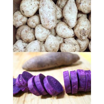 Hawaii Sweet Potato