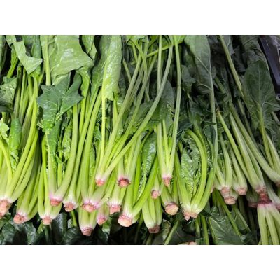 Spinach- Bocai 