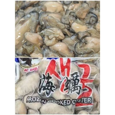Frozen oyster meat