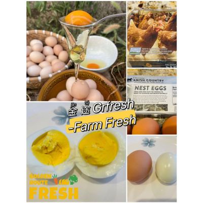 Amish Organic free range eggs 