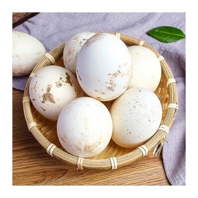 Free range Goose eggs