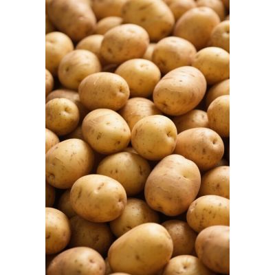 Potato