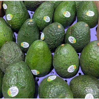 Avocado 6pcs