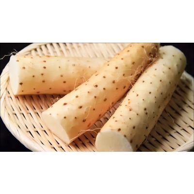 Japanese Yam