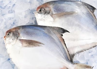 Frozen Silver Pomfret 2pcs