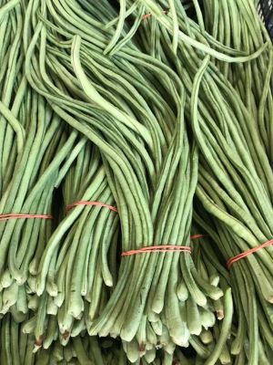 Yardlong Beans 1.5 lbs