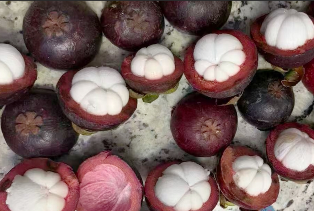 Fresh Mangosteen 3Ibs